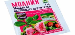 Anleitung zur Verwendung des Werkzeugs Lightning vom Kartoffelkäfer