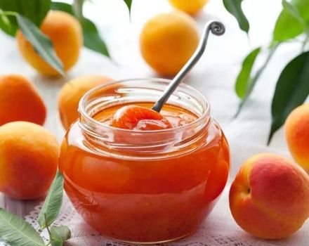 La recette de la confiture d'abricots dénoyautés cinq minutes pour l'hiver