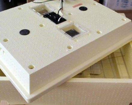 Beschreibung und Anleitung zur Verwendung des Cinderella-Haushaltsinkubators, Gerätetypen