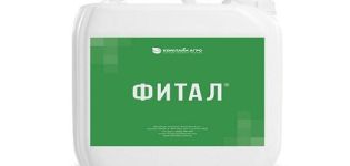 Instructions for the use of fungicide Fital and mechanism of action