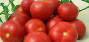 Beschreibung der Tomatensorte Großzügigkeit, Anbaumerkmale und Ertrag
