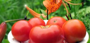 Caractéristiques et description de la variété de tomate Sibiryak, Sibiryachok et Mamin Sibiryak, leur rendement