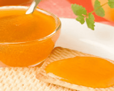 Recettes simples pour faire de la purée d'abricots pour l'hiver