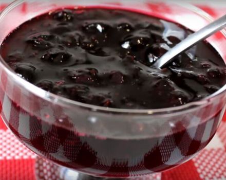 TOP 3 des recettes pour faire de la confiture de cassis sans sucre pour l'hiver