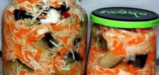 Die besten Auberginenrezepte mit Kohl für den Winter sofort