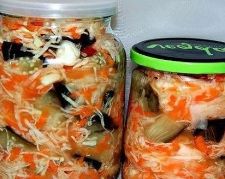 Die besten Auberginenrezepte mit Kohl für den Winter sofort