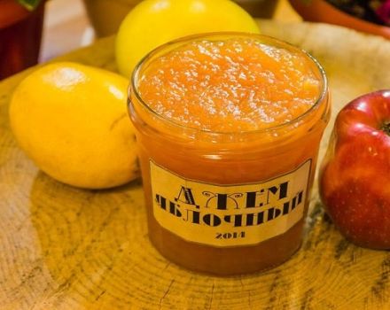 Recettes simples pour faire de la confiture de pommes à la maison pour l'hiver