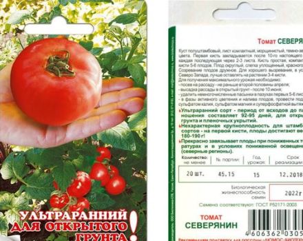 Description de la variété de tomate Severyanin et de ses caractéristiques