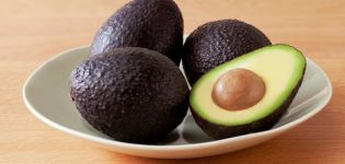 Beschreibung und Geschichte der Auswahl der Haas-Avocado-Sorte, Anwendung und Unterschiede zu den üblichen