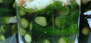 Einfache Rezepte zum Beizen und Beizen von Gurken mit Apfelessig ohne Sterilisation für den Winter