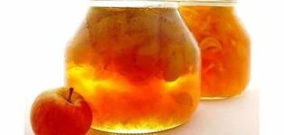 Ein einfaches Rezept für die Herstellung von Marmelade aus Ranetki für den Winter