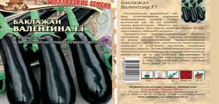 Description et caractéristiques de l'aubergine de la Saint-Valentin, culture et soins