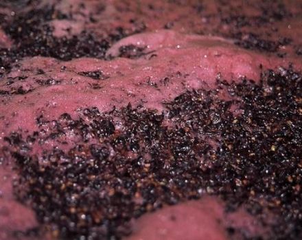 TOP 5 des moyens d'arrêter la fermentation du vin à la maison