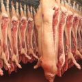 Tabelle zur Berechnung des Ertrags von Schweinefleisch aus Lebendgewicht, Messung und Berechnung nach der Formel