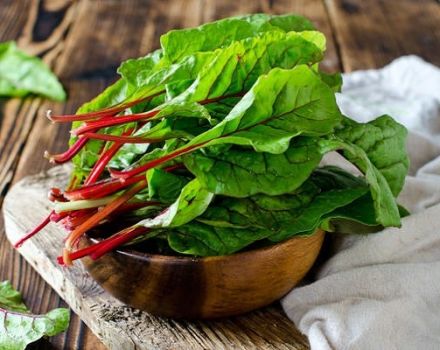 Description de la variété de betterave à carde, caractéristiques de culture et d'entretien