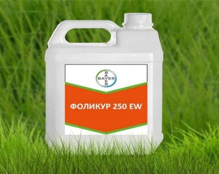 Instructions pour l'utilisation du fongicide Folicur, composition et taux de consommation