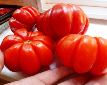 Description et caractéristiques de la variété de tomate Lorraine Beauty