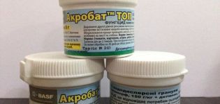 Gebrauchsanweisung des Fungizids Acrobat und Wirkmechanismus