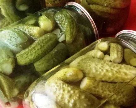 Une recette pas à pas pour les concombres marinés pour la nostalgie hivernale