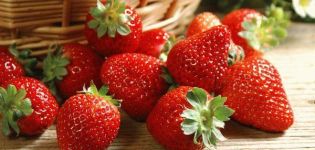 TOP 13 interessante Rezepte für die Zubereitung von Erdbeeren für den Winter