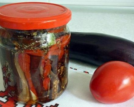 TOP 6 des recettes pour faire des aubergines marinées au poivre pour l'hiver