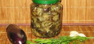 3 besten Rezepte zum Einmachen von Auberginen mit Pilzen für den Winter