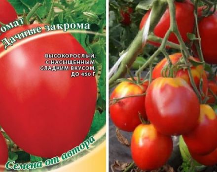 Beschreibung der Tomatensorte Country Bins und ihrer Eigenschaften