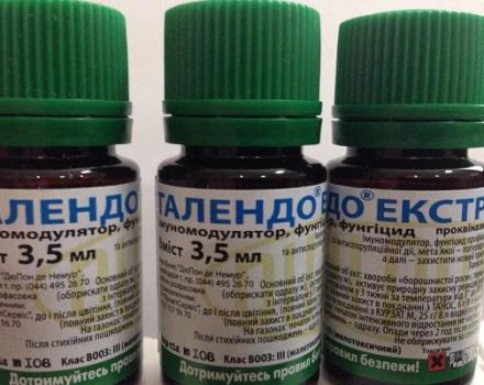 Gebrauchsanweisung des Fungizids Talendo, Wirkmechanismus und Verbrauchsrate