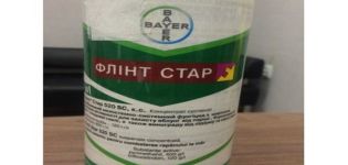 Mode d'emploi du fongicide Flint Star et taux de consommation