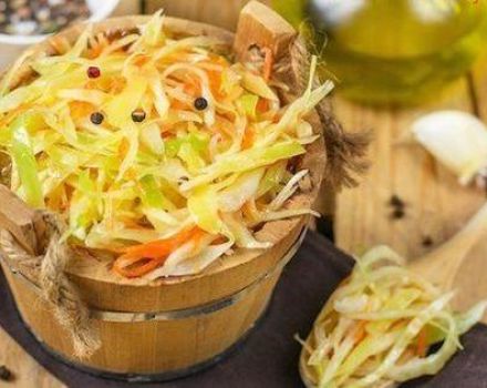TOP 18 Rezepte für die Zubereitung von eingelegtem Kohl für den Winter zu Hause