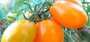 Beschreibung der Tomatensorte Gold des Ostens, ihrer Eigenschaften und Produktivität