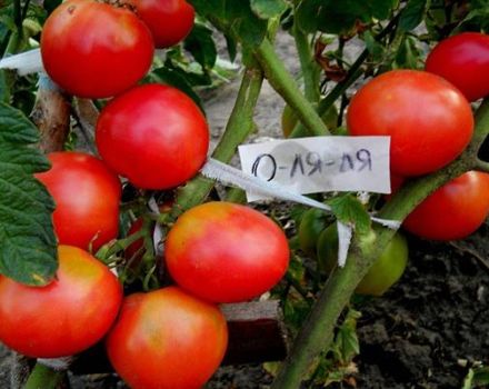 Description de la variété de tomate O La La et de ses caractéristiques