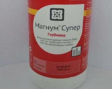 Mode d'emploi de l'herbicide Magnum, mesures de sécurité et analogues