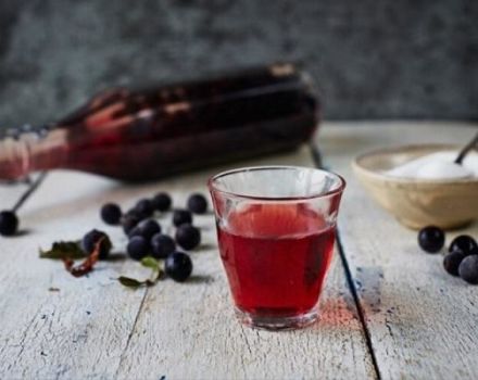 TOP 8 einfache Rezepte für die Herstellung von Sloe-Wein zu Hause