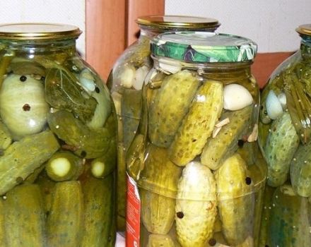 TOP 3 des recettes de concombres marinés à la coriandre pour l'hiver