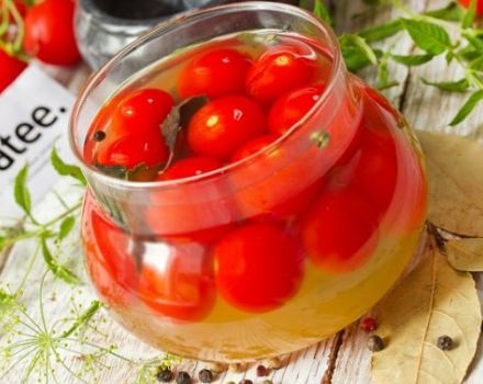 TOP 10 leckere Rezepte für eingelegte Kirschtomaten für den Winter lecken Sie sich die Finger