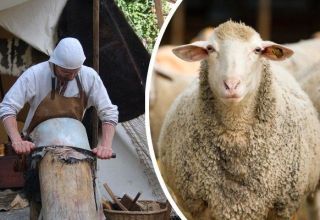 Top 4 des façons de faire des peaux de mouton à la maison et instructions