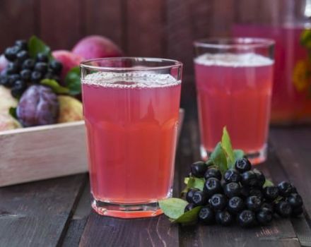 TOP 10 Rezepte für Winterkompott aus Äpfeln und Apfelbeeren