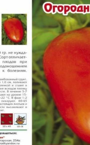 Description de la variété de tomate Garden sorcerer, ses caractéristiques et sa productivité