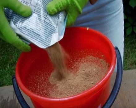 The use of tobacco dust for cucumbers, can you sprinkle