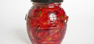 Les meilleures recettes de lecho pour l'hiver à partir de betteraves selon la recette Vous vous lècherez les doigts