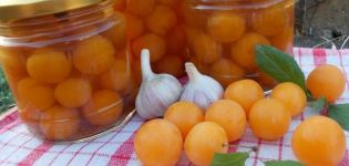 Ein einfaches Rezept zur Konservierung von Kirschpflaumen, wie Oliven für den Winter