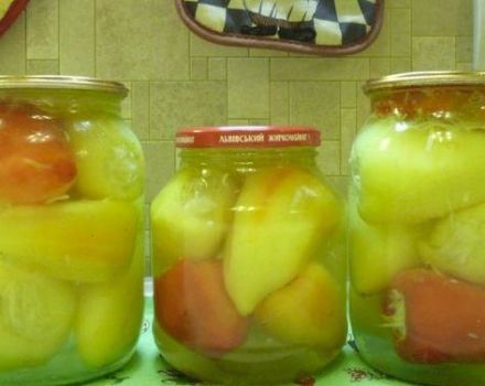 8 besten Rezepte für die Herstellung von gefüllten Paprika für den Winter