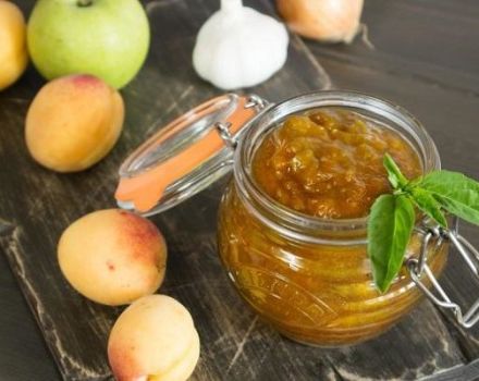 TOP 14 délicieuses recettes pour faire des sauces pour l'hiver à la maison