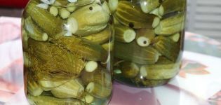 4 Schritt-für-Schritt-Rezepte für Omas knusprige Gurken für den Winter