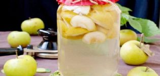 TOP 2 recipes for making apple and mint compote for the winter