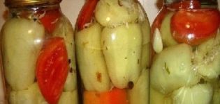 TOP 10 des recettes pour cuisiner des poivrons farcis au chou pour l'hiver