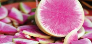 Description of the daikon variety Misato Pink glitter, features of cultivation and care
