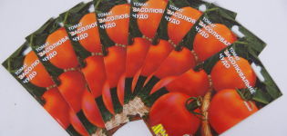 Beschreibung und Eigenschaften der Tomatensorte Salzwunder, deren Ertrag