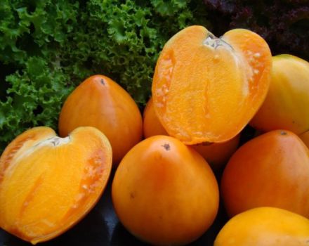 Characteristics and description of the tomato variety Golden Heart, its yield